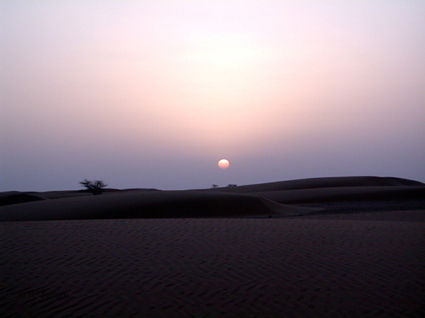 Sahara (02)