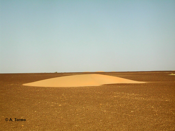 Sahara (13)