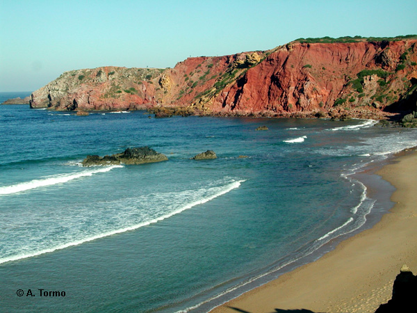 Playa Algarve (05)