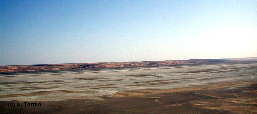 Sahara (07)
