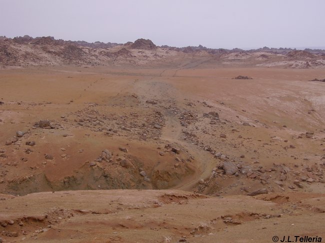 Desierto costero del Perú