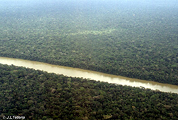 Río amazónico