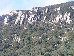 Parque Natural de los Alcornocales