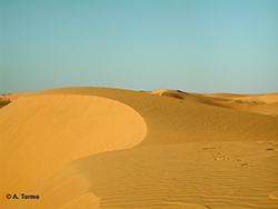 Sahara (06)