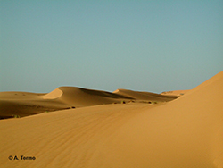 Sahara (16)