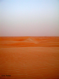 Sahara (10)