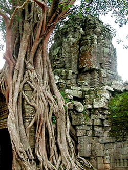 Angkor (03)