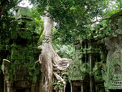 Angkor (04)