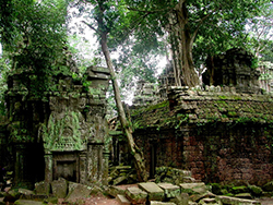 Angkor (06)