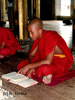 Myanmar (11)