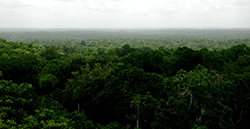 Tikal (02)